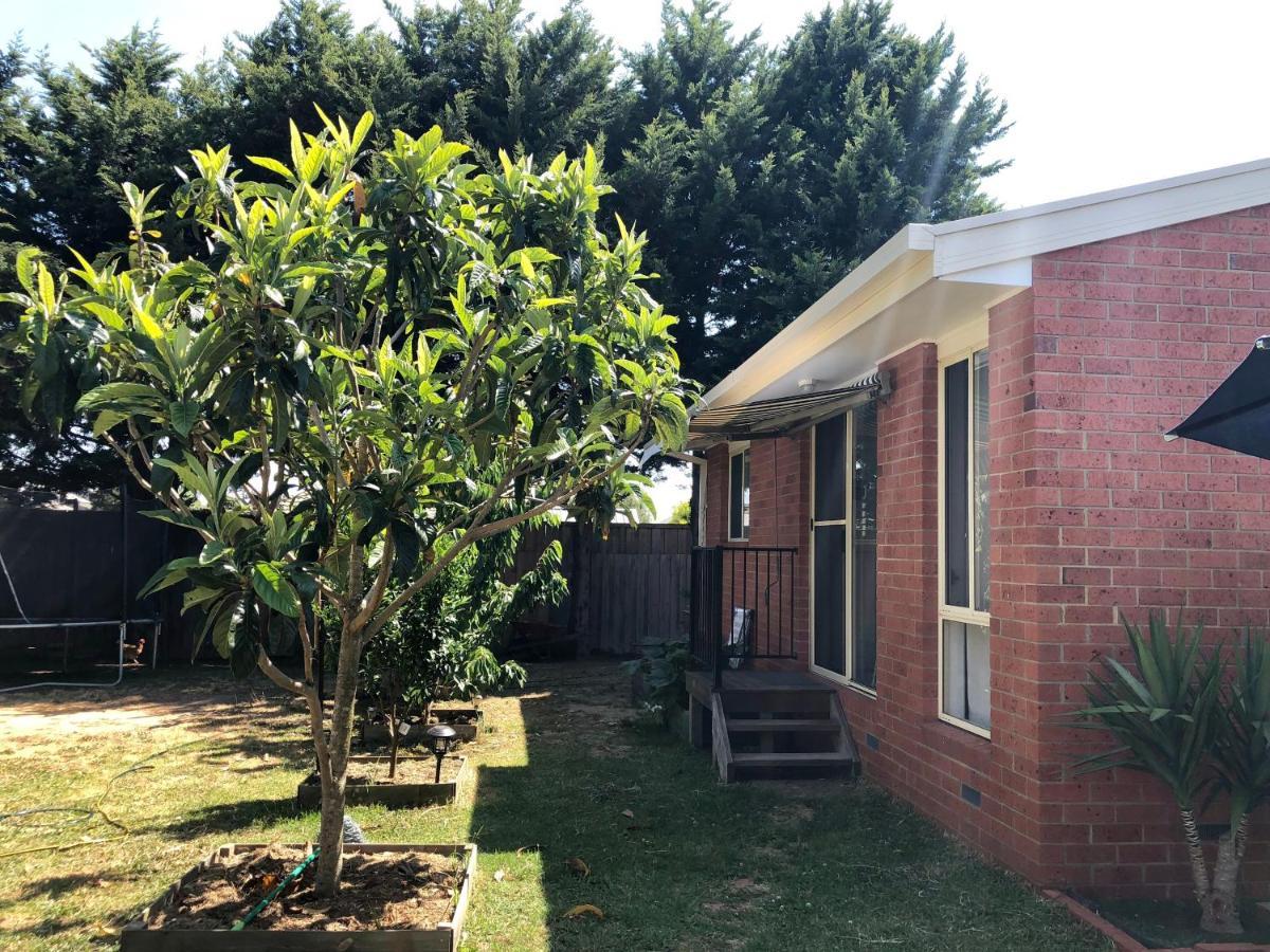 Charlie Sweet Home At Mornington Peninsula 마운트 마사 외부 사진