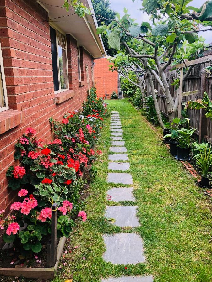 Charlie Sweet Home At Mornington Peninsula 마운트 마사 외부 사진